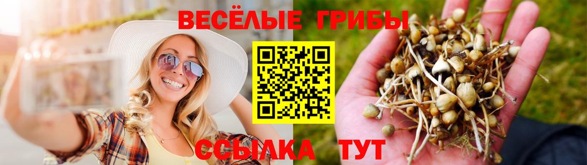 Псилоцибиновые грибы ЛСД  Галлюциногенные грибы GOLDEN TEACHER  Аксай  Вход с VPN 